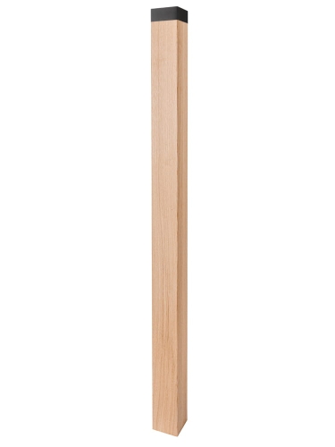 Słup wzór S21 czarne.jpg