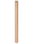 Słup wzór s10
